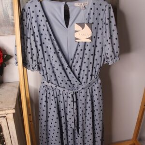 blue polka dots
